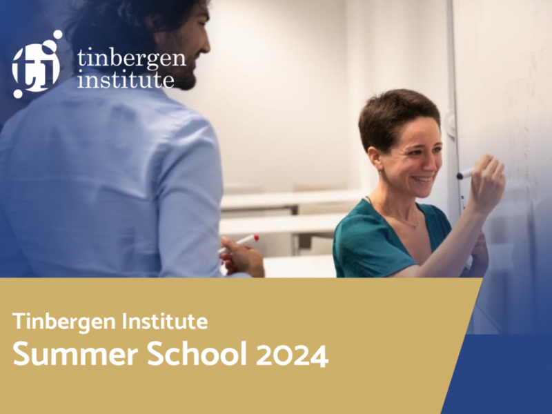 Application for 2024 TI Summer School is open
