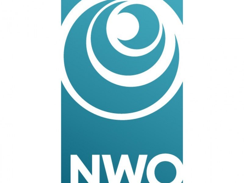 NWO Vidi grants for three Tinbergen Institute research fellows