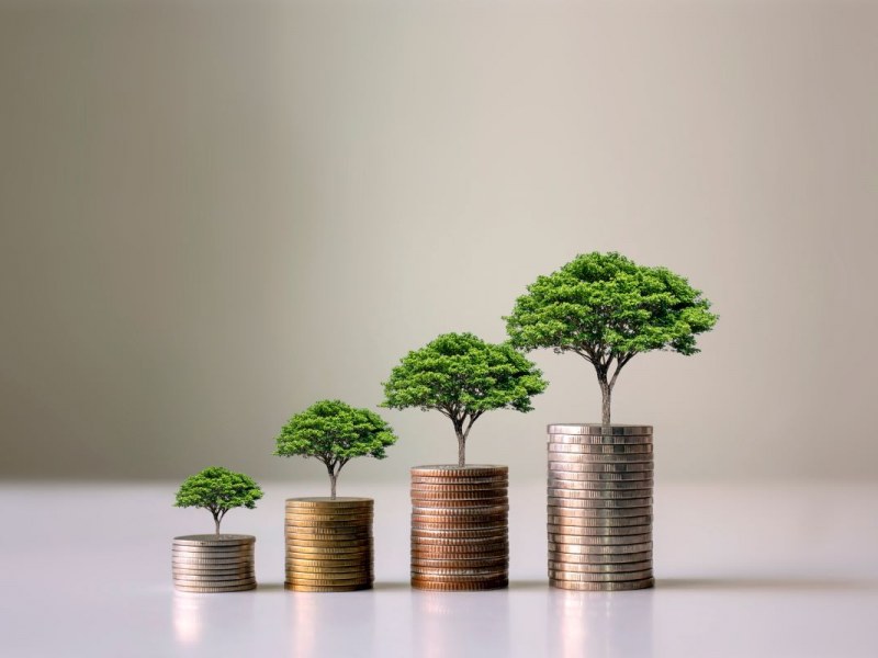 Sustainable Finance