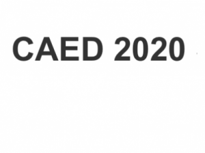 CAED 2020 Seminar: Fabiano Schivardi (LUISS University, Italy)