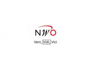Vidi Grant Awarded to TI Fellows Francisco Blasques, Shaul Shalvi, Jan Stoop and TI Alumnus Nalan Baștürk