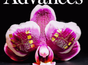 Article by fellow Jan Engelmann published in Science Advances