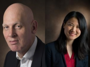 Views of fellows Peter Wakker and Tong Wang on the ergodicity problem in Nature Physics