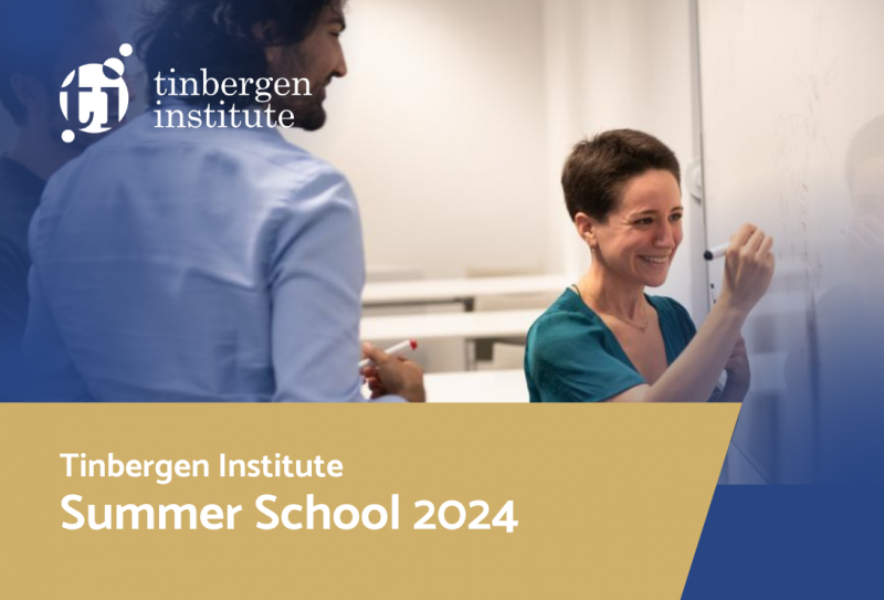 Application for 2024 TI Summer School is open