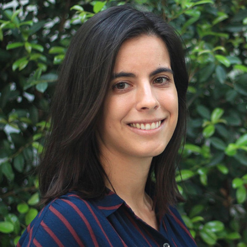 Paper by Ana Figueiredo published in the Journal of Political Economy