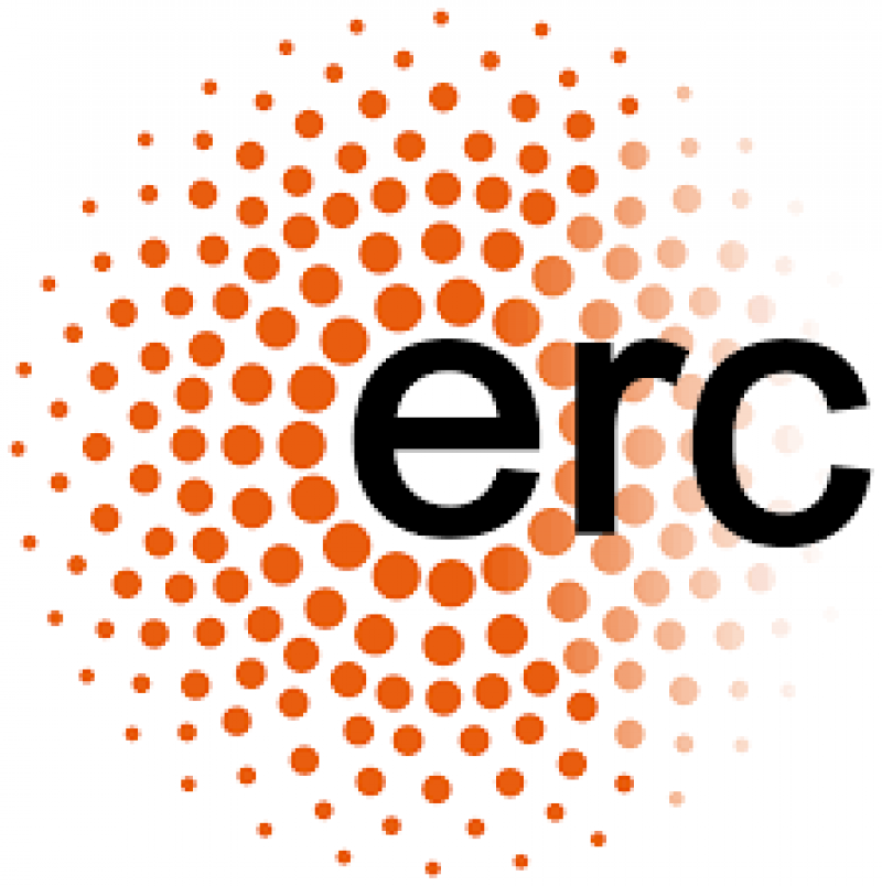 ERC Consolidator Grant awarded to fellow Shaul Shalvi